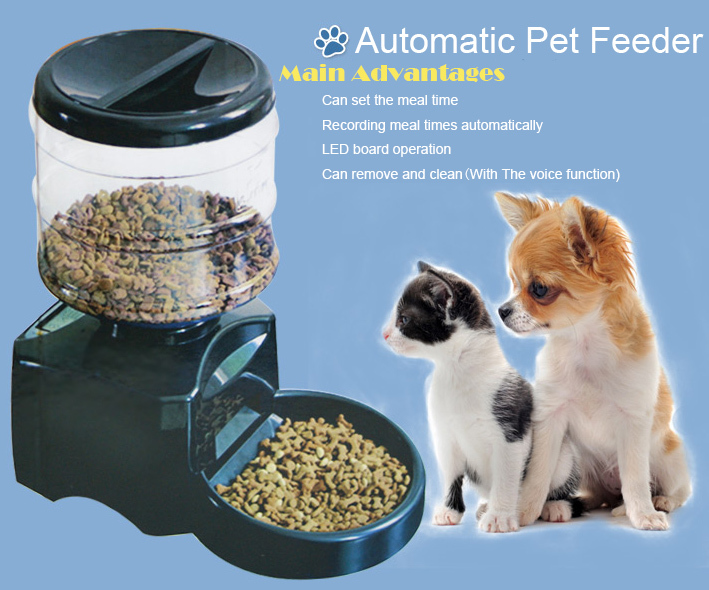 Auto Pet Feeders